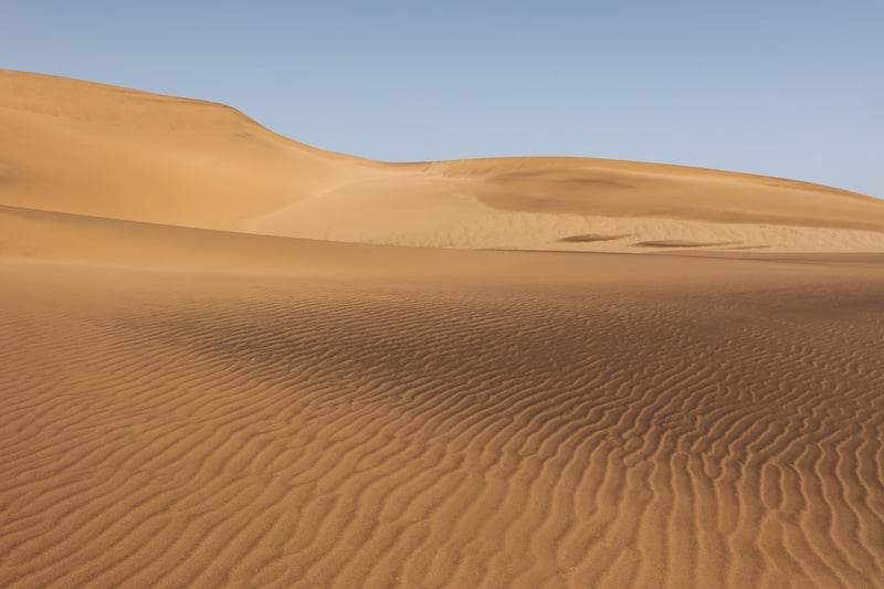 Desert landscape